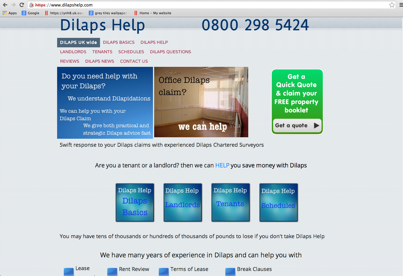 First Dilapshelp Website Look